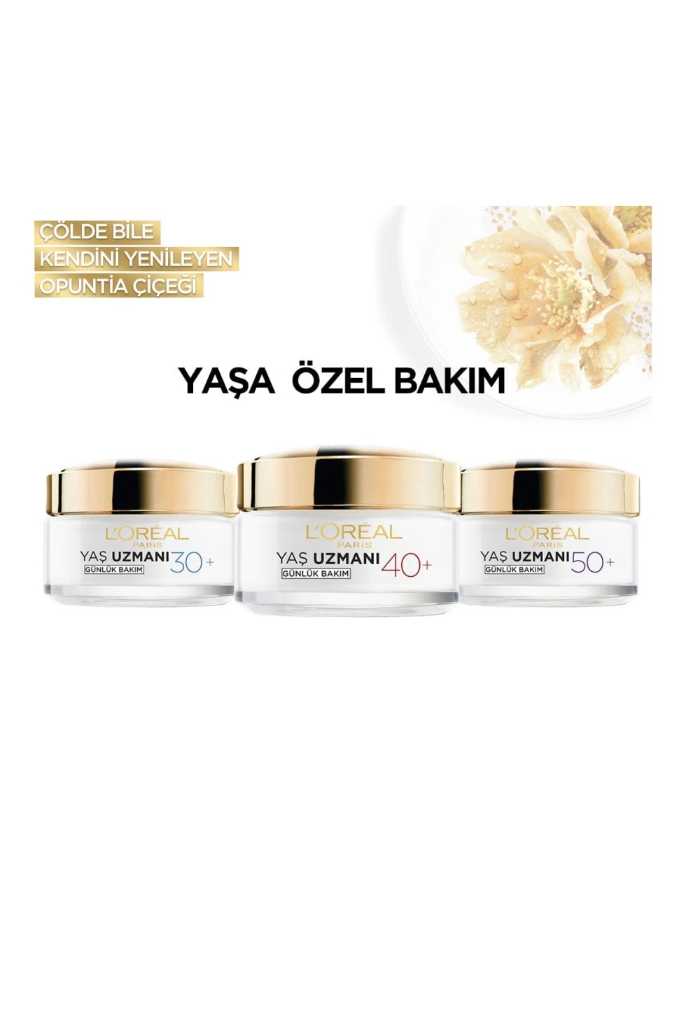 Paris Yaş Uzmanı 30+ Kırışıklık Karşıtı Nemlendirici Krem 50 ml
